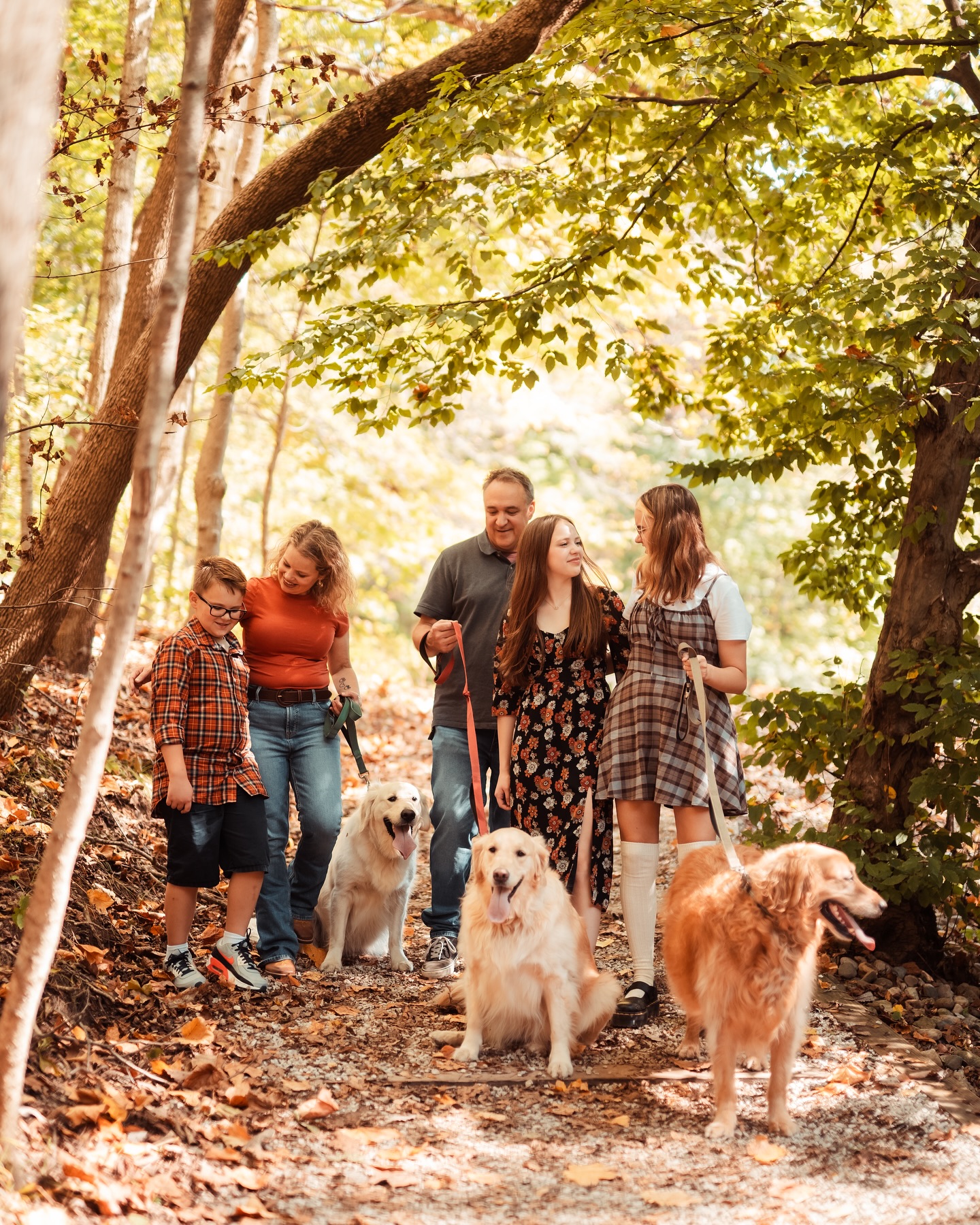 A large family walking with their three golden retrievers on a path in the woods.